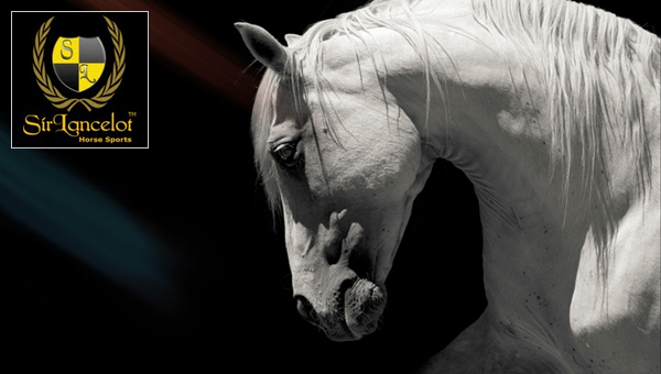 Sir Lancelot Horse Sports
